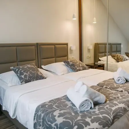 Leone Apartment Promajna