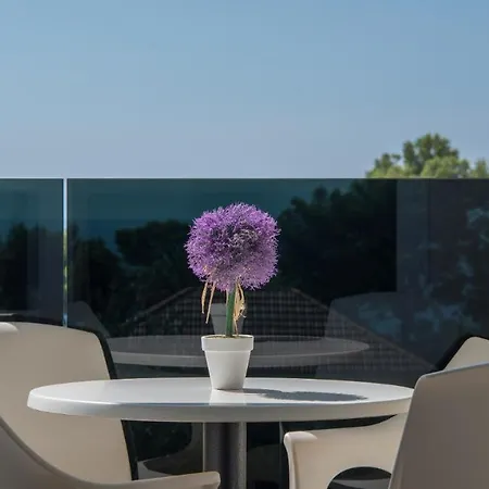 Apartment Leone Promajna